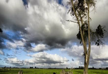 春季食欲不振怎么办  四款靓汤帮你增食欲