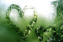 食欲不振怎么办 通过这四种方法来解决食欲不振