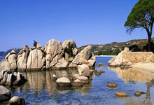 春季食欲不振怎么办  四款靓汤帮你增食欲